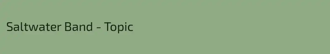 Saltwater Band - Topic